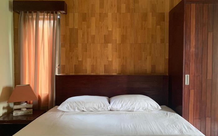 Cozy Palm
