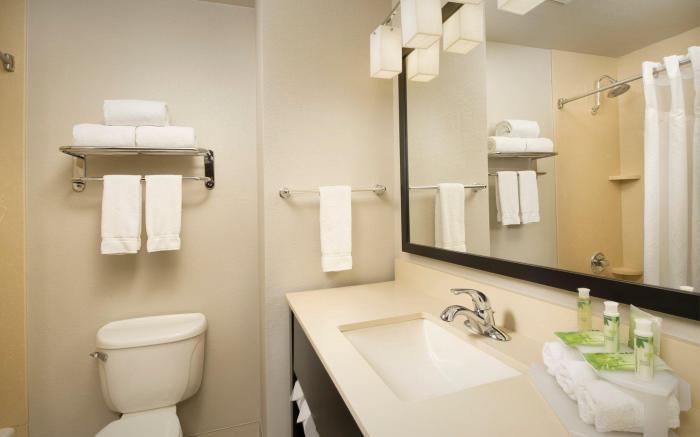 Holiday Inn Express Hotel and Suites DFW-Grapevine By IHG