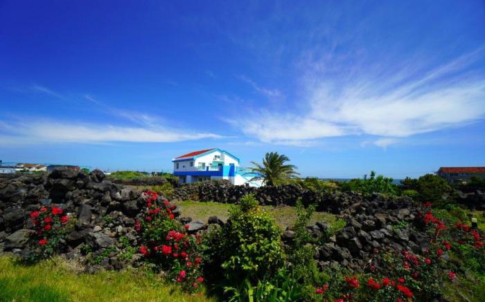 Jeju Amor House