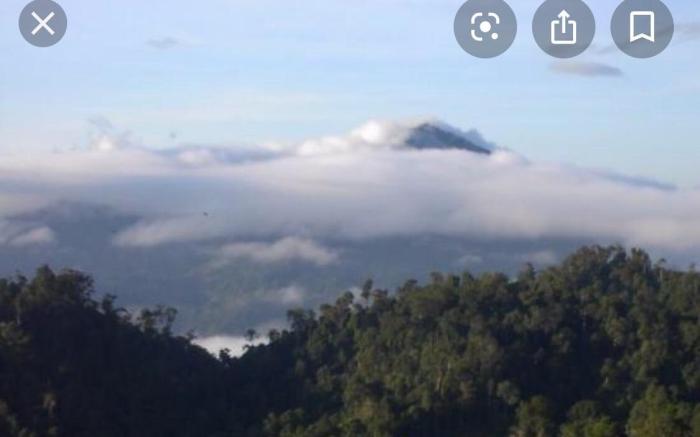 Berjaya hill homestay - meranti park nearby colmar