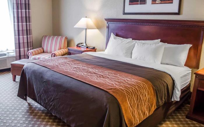 Comfort Inn & Suites Daphne Spanish Fort - Mobile East