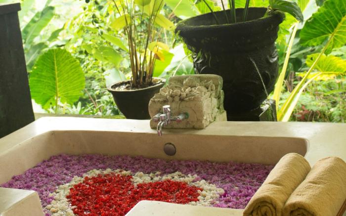 Mesari Hotel Ubud