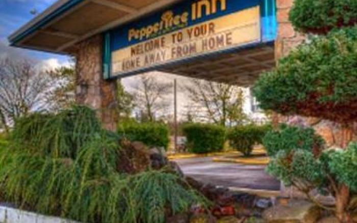 Pepper Tree Inn