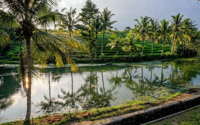 Alam Taman Villa