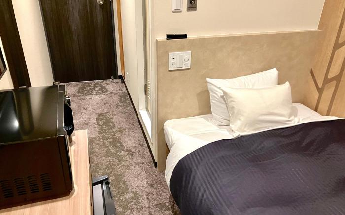 Hotel Livemax BUDGET miharaekimae