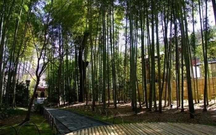 Breezbay Shuzenji Hotel