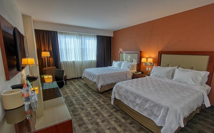 Holiday Inn Leon Plaza Mayor By IHG