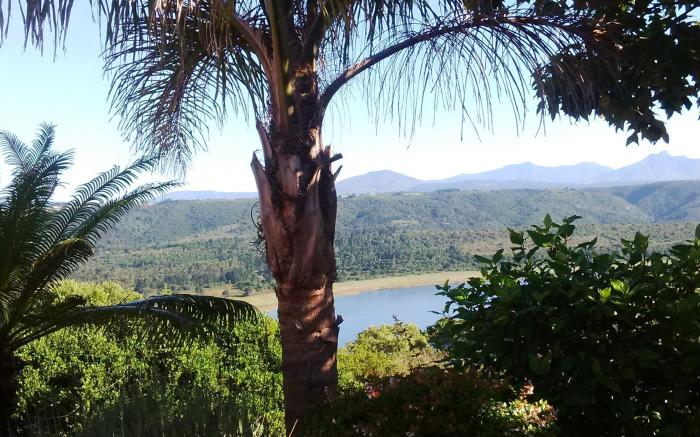 Eagles Nest Bed and Breakfast