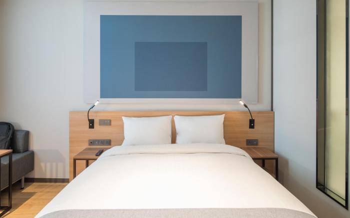 Ibis Ambassador Suwon