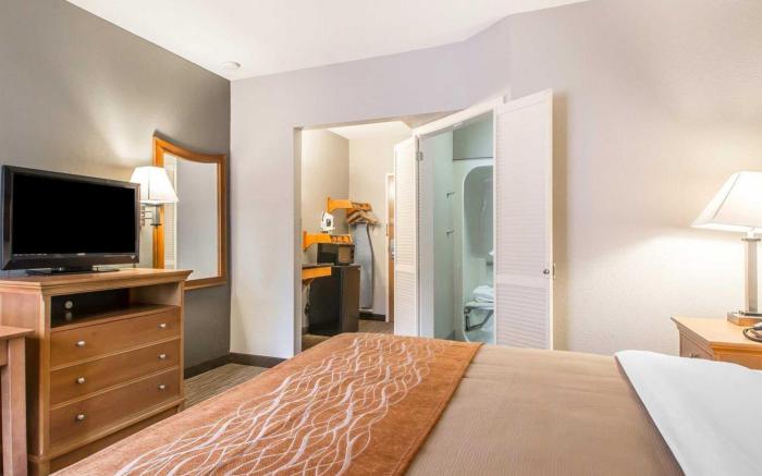 Comfort Inn South - Springfield