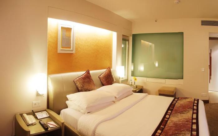 Sayaji Indore