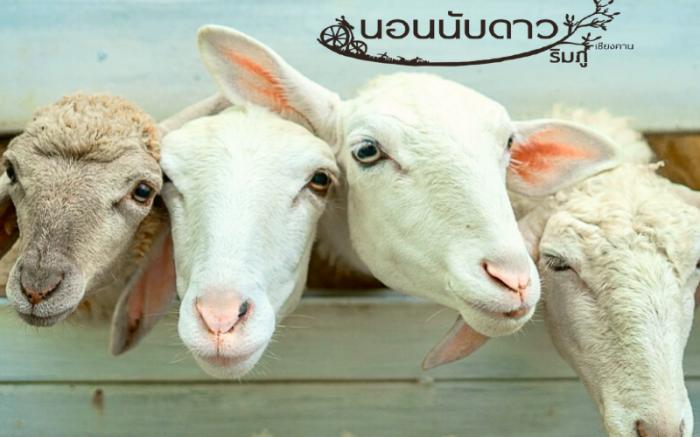 Norn Nab Dao Rimphu Resort