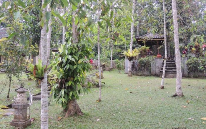 tegal jero homestay