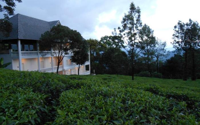Tea Harvester