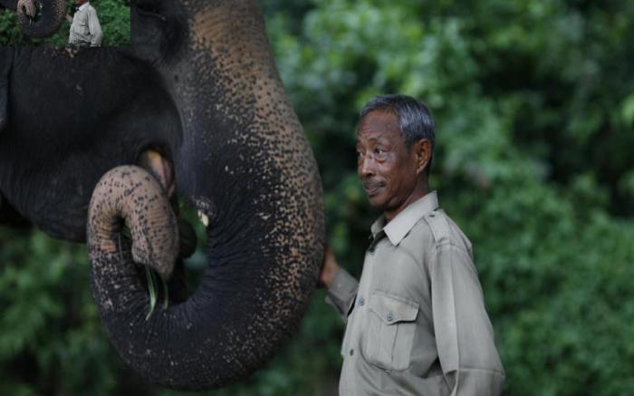 Tiger Tops Tharu Lodge