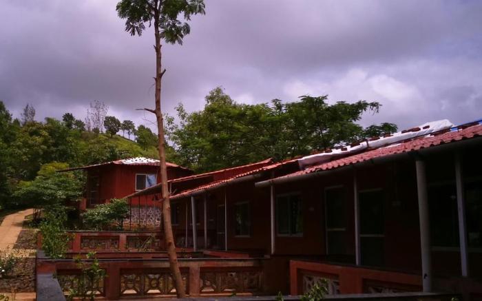 Wild Camp Resort