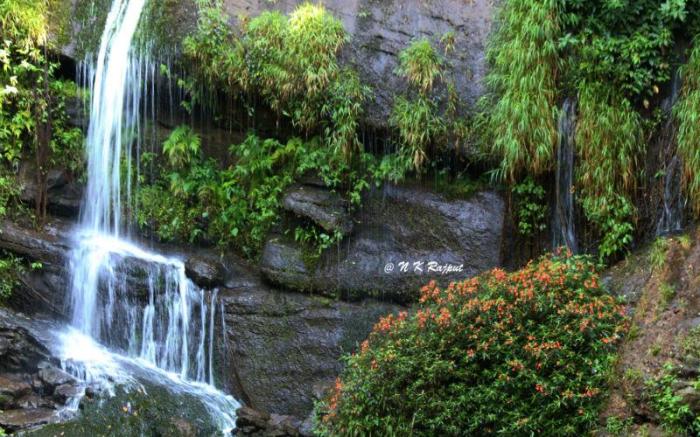 Bamboo Dale Resort by Stride