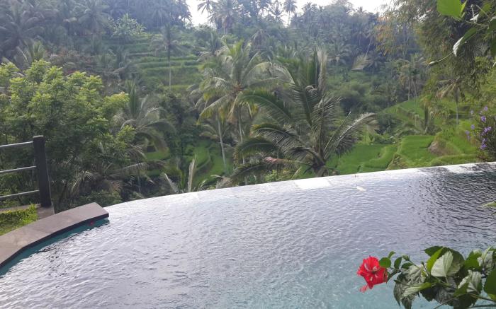Wedang Villa