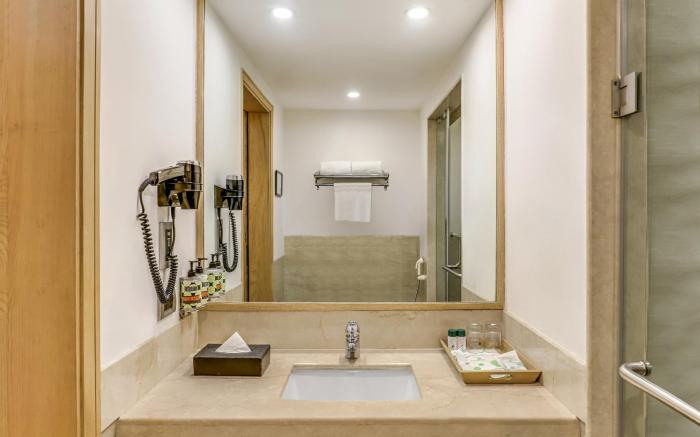 Lemon Tree Premier City Centre Gurgaon