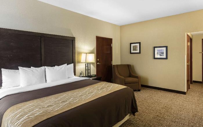 Comfort Inn & Suites Allen Park - Dearborn