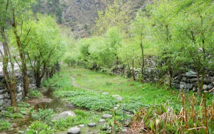 Devat Farm Cottages Tirthan Gushaini