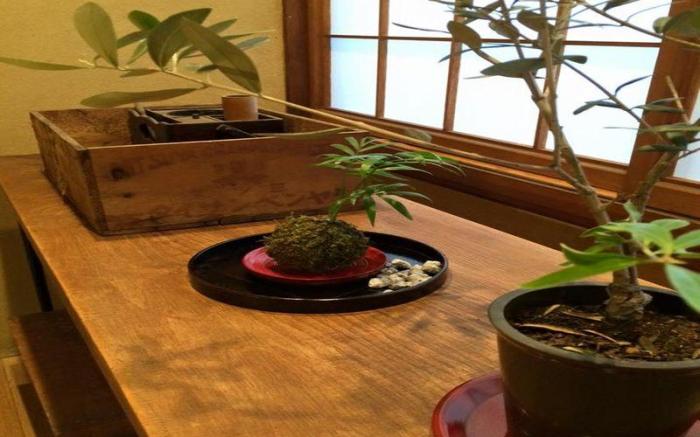 Guesthouse Enishi