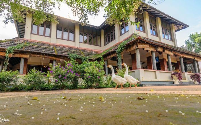 Wayanad Village Resort