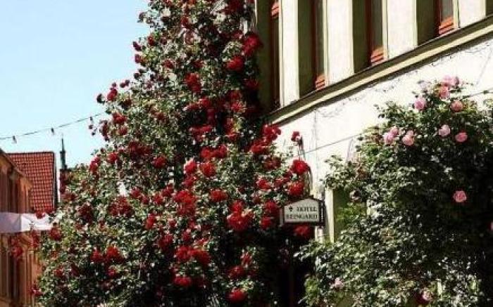 Hotel Reingard