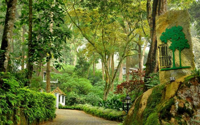 The Tall Trees Munnar