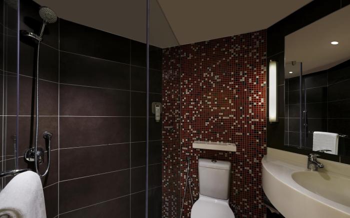 ibis Hyderabad Hitec City - An AccorHotels Brand