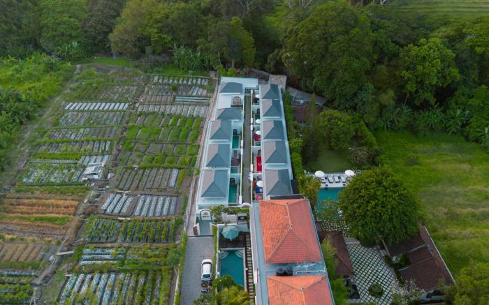 Dikubu Bali Villa and Suites