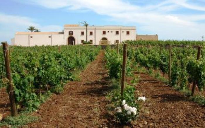 Agriturismo Baglio Donnafranca Wine Resort