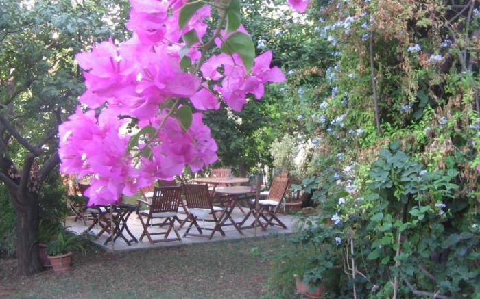 Hotel Gulec