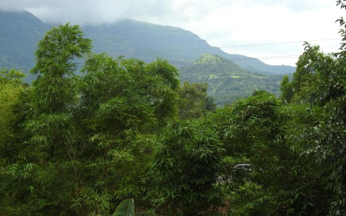 wanderlust Resort bhandardara