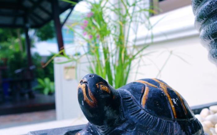 The Siam Place Pool Villa