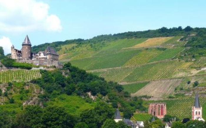 Gasthaus Weingut Stahl