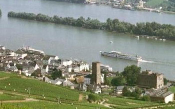 Hotel Rheinstein