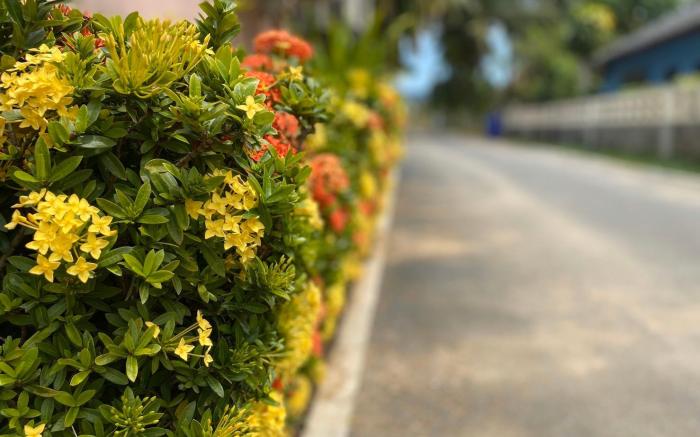 Andaman Place