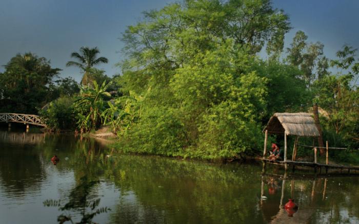 The Riverwood Forest Retreat- Dooars