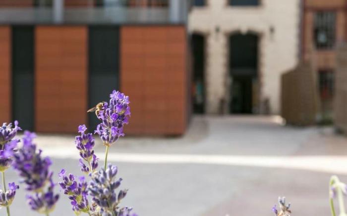 Zenao Appart'hotel Troyes