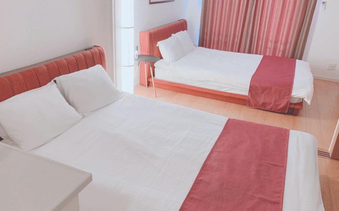 European House Reisen
