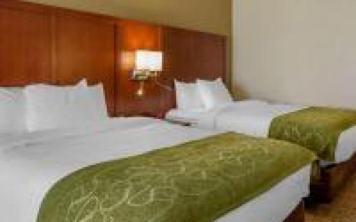 Comfort Suites near Camp Lejeune