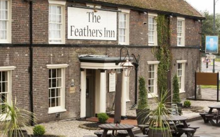 Feathers by Chef & Brewer Collection