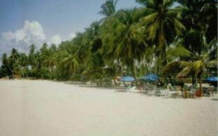 Plaza Real Resort