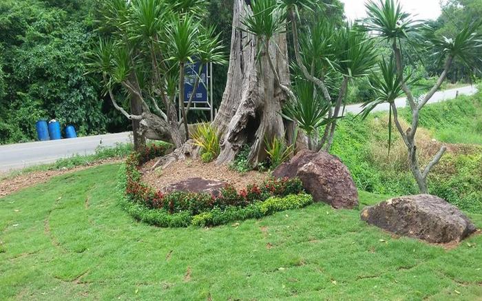 Tho Mai Resort