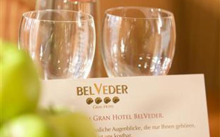 Hotel Gran BelVeder