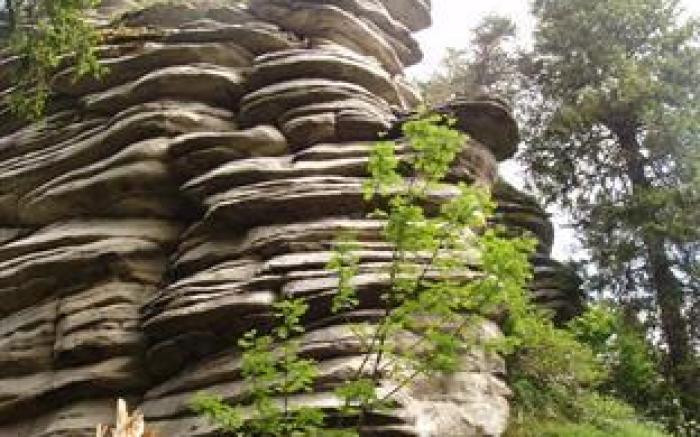 Antjes Schmankerlhotel und Restaurant