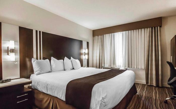 Quality Hotel Airport (South)