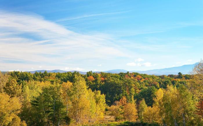 DoubleTree by Hilton Burlington Vermont