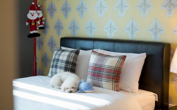 Gosung Christmas Pension